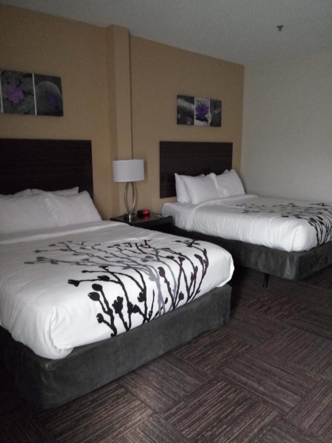 Sleep Inn&Suites Wisconsin Rapids Buitenkant foto